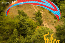 ICARO Falco L  EN-A for sale